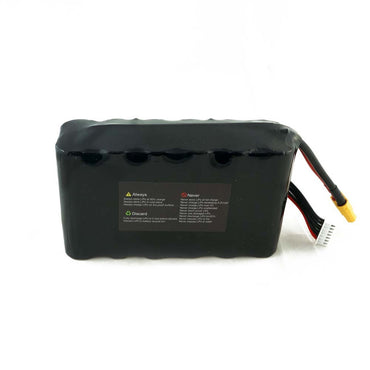 6S2P 10000mah samsung cell
