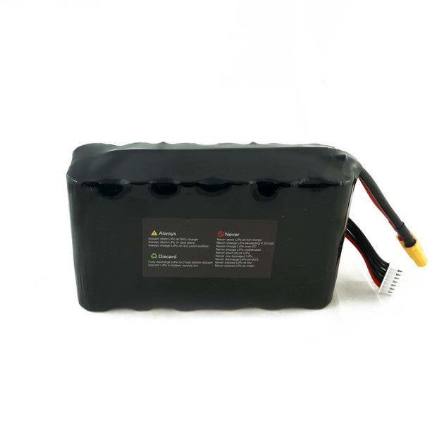 6S2P 10000mah samsung cell