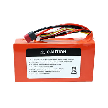 6S1P 5000Mah